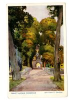 Coloured post card of Trinity Avenue, Cambridge