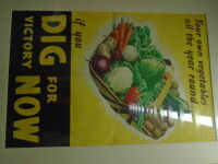 Dig For Victory<br>poster