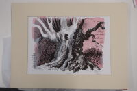 Lithograph by Carry Akroyd entitled 'Venerable', 2017