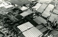 Aerial photograph of Sedge Green, Nazeing