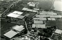 Aerial photograph of Sedge Green, Nazeing